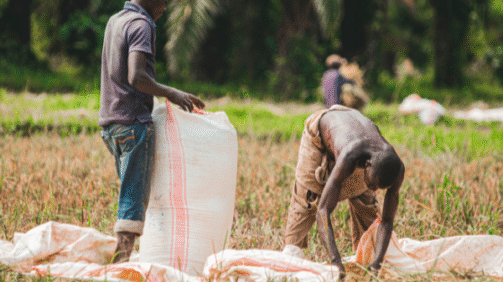 Community Health Extension Worker