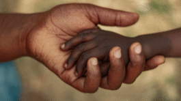 Social Care and Supportive Care