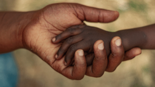 Social Care and Supportive Care